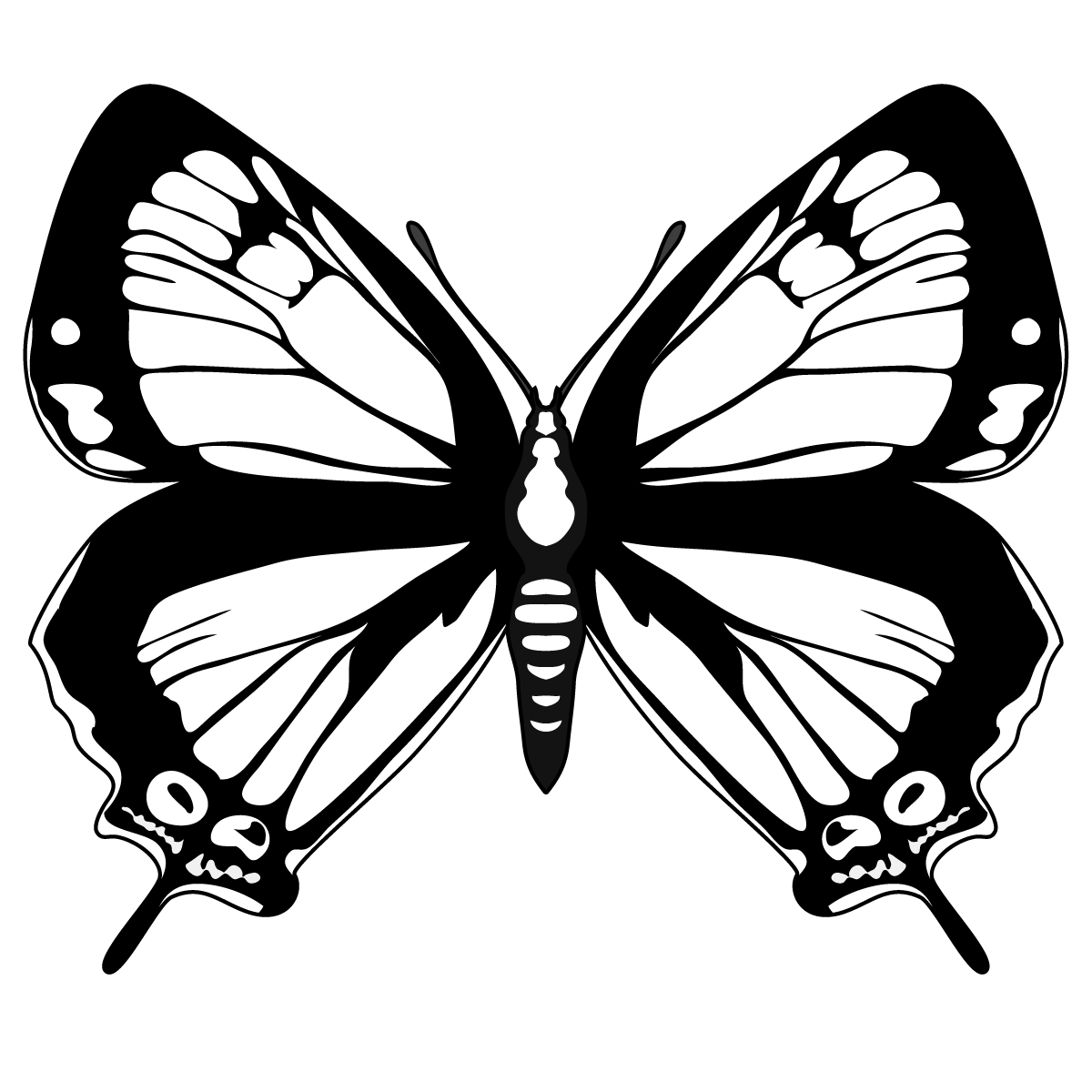 ぬりえページ: 蝶 (動物) #15827 - 無料の印刷可能なぬりえページ