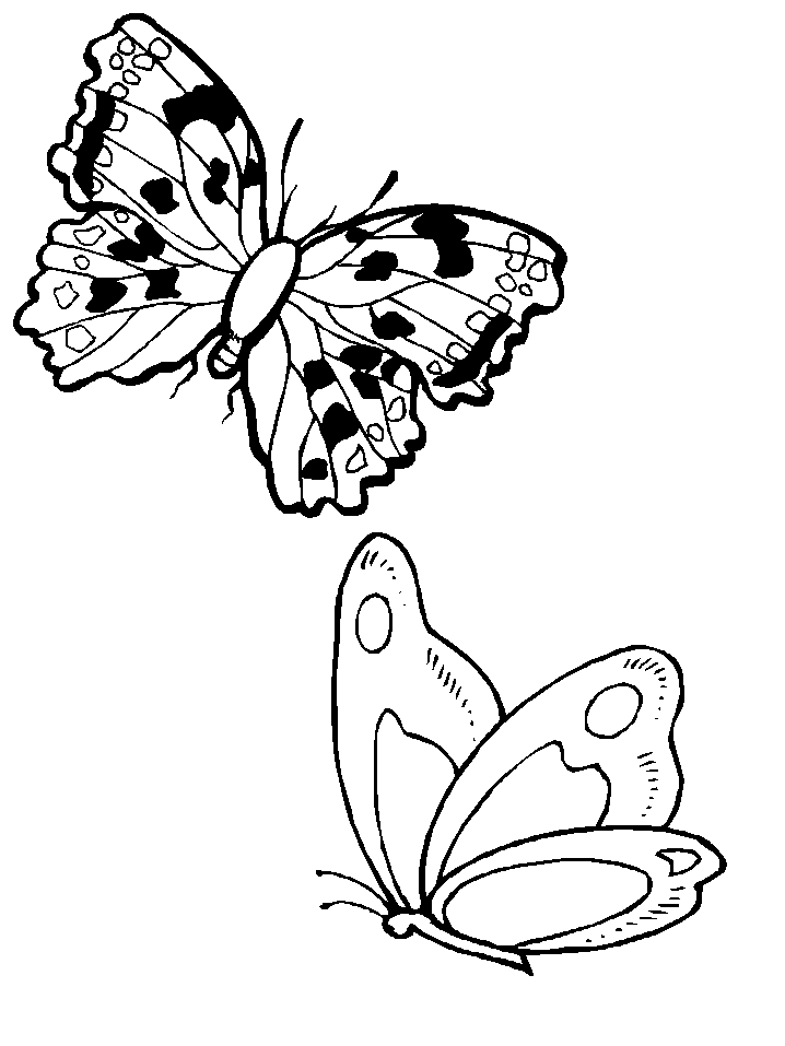 ぬりえページ: 蝶 (動物) #15828 - 無料の印刷可能なぬりえページ
