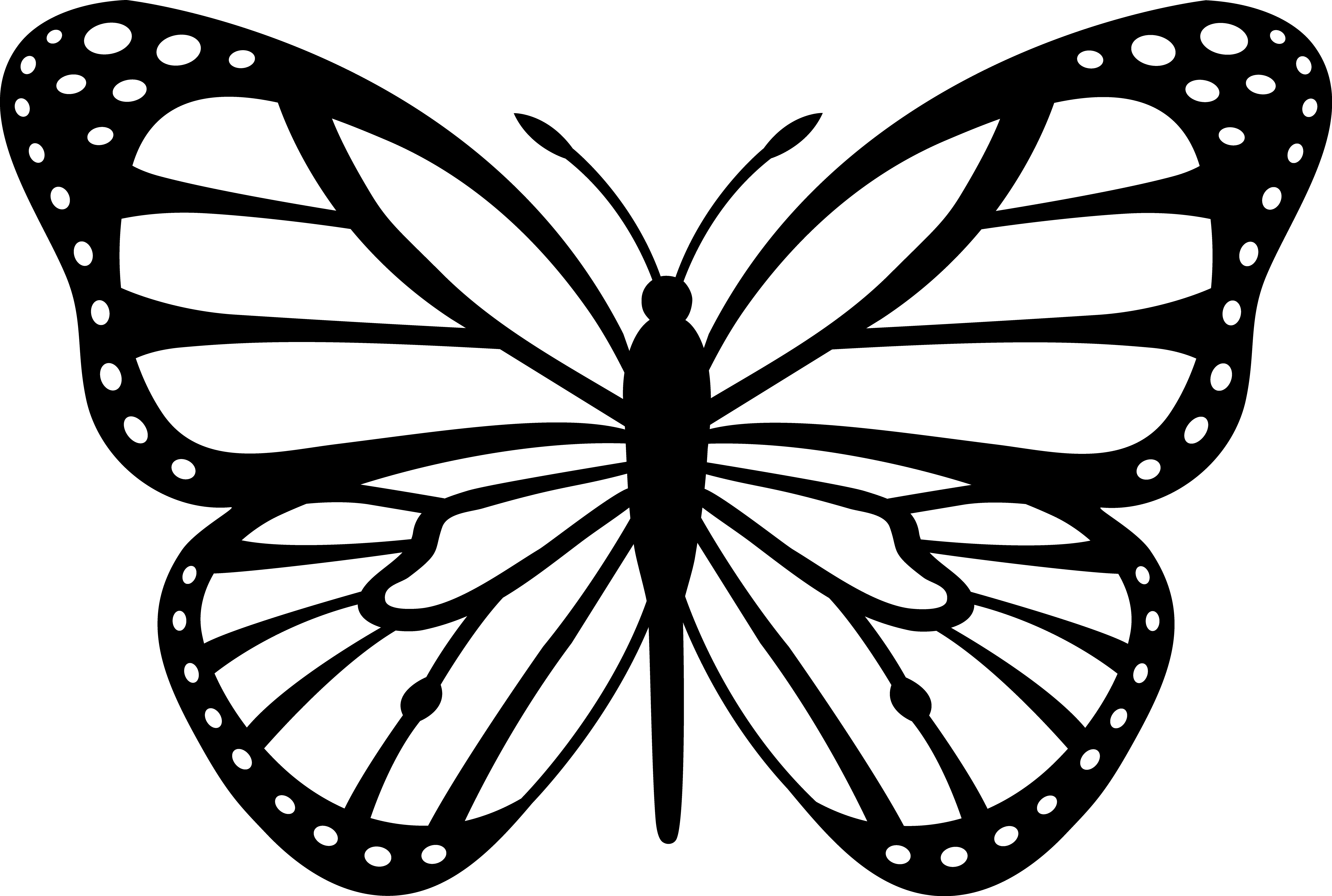 ぬりえページ: 蝶 (動物) #15834 - 無料の印刷可能なぬりえページ