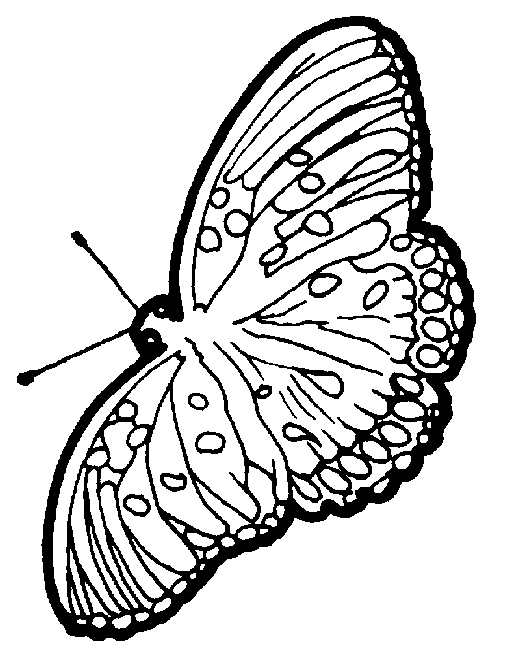 ぬりえページ: 蝶 (動物) #15837 - 無料の印刷可能なぬりえページ