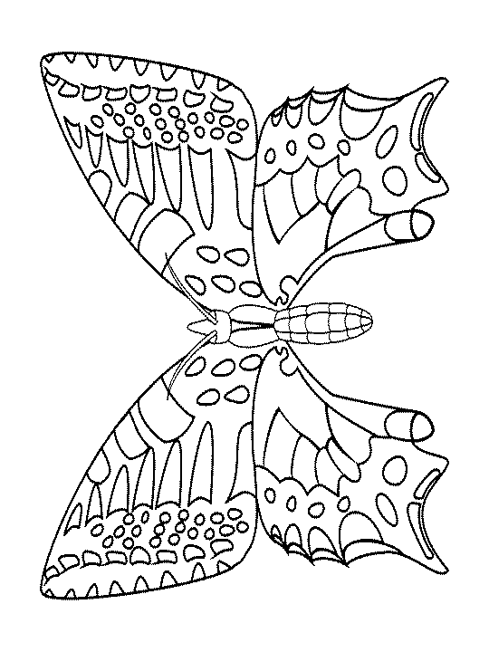 ぬりえページ: 蝶 (動物) #15844 - 無料の印刷可能なぬりえページ