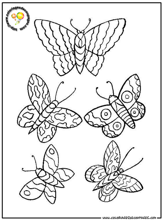 ぬりえページ: 蝶 (動物) #15845 - 無料の印刷可能なぬりえページ