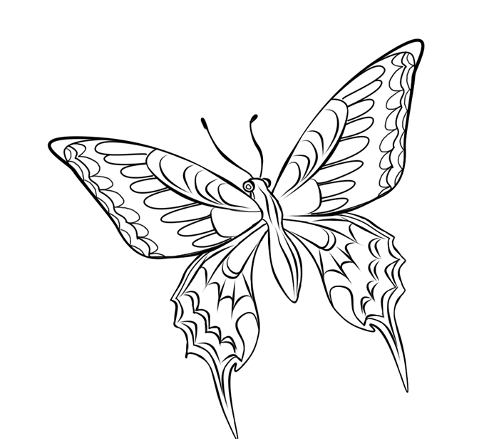 ぬりえページ: 蝶 (動物) #15846 - 無料の印刷可能なぬりえページ