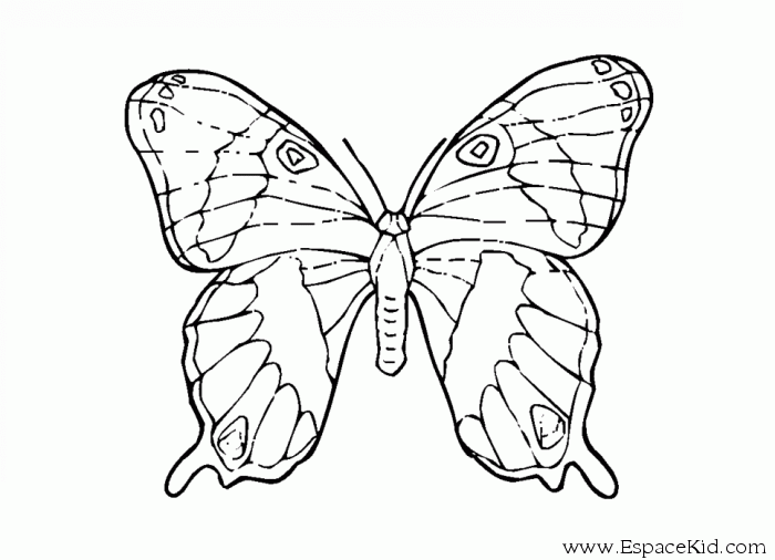ぬりえページ: 蝶 (動物) #15857 - 無料の印刷可能なぬりえページ