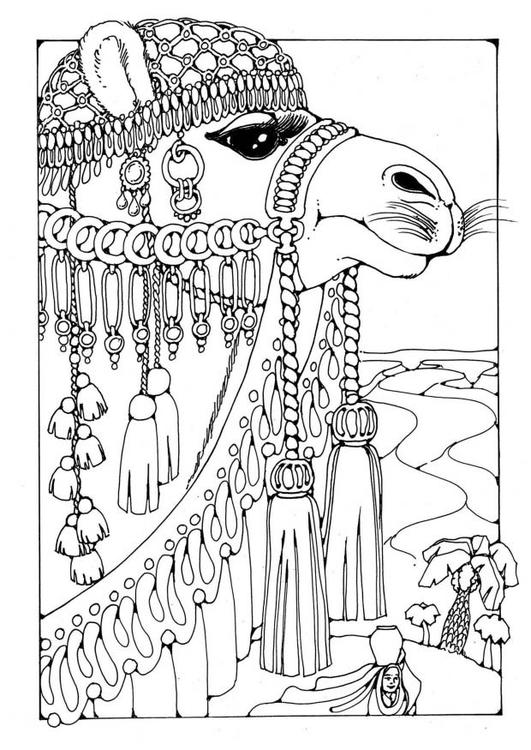 ぬりえページ: キャメル (動物) #1694 - 無料の印刷可能なぬりえページ