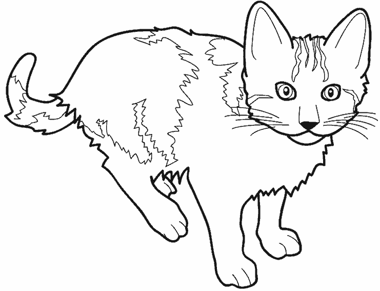 ぬりえページ: 猫 (動物) #1781 - 無料の印刷可能なぬりえページ