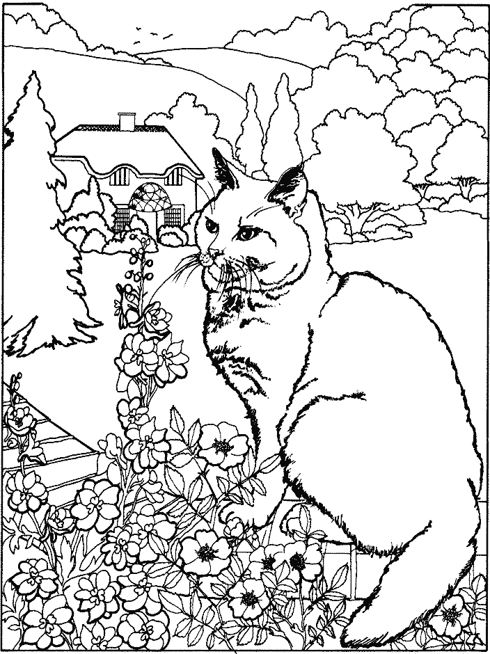 ぬりえページ: 猫 (動物) #1790 - 無料の印刷可能なぬりえページ
