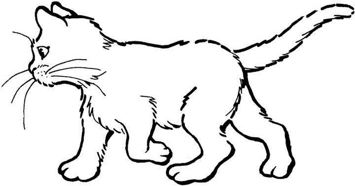 ぬりえページ: 猫 (動物) #1822 - 無料の印刷可能なぬりえページ