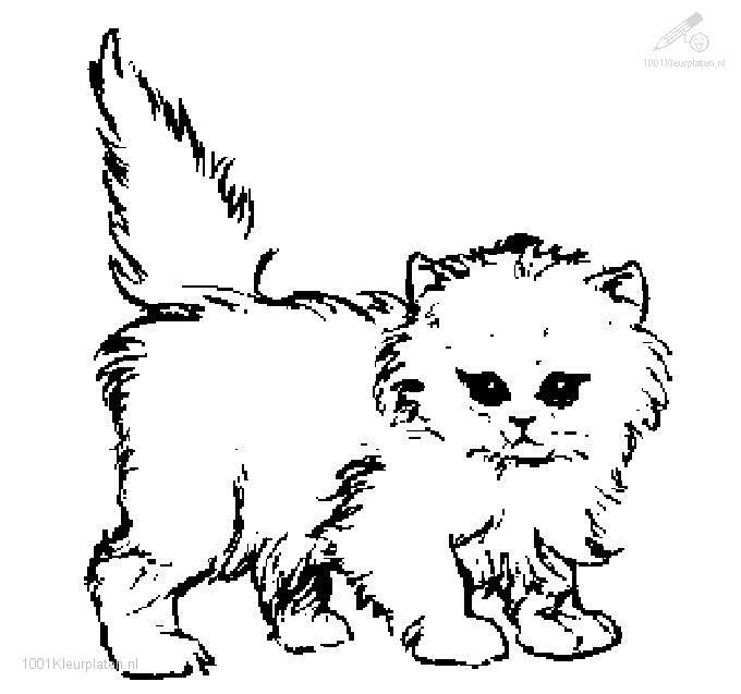 ぬりえページ: 猫 (動物) #1832 - 無料の印刷可能なぬりえページ