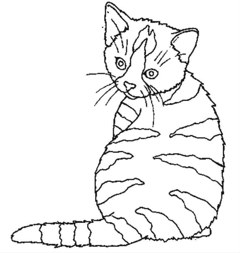 ぬりえページ: 猫 (動物) #1843 - 無料の印刷可能なぬりえページ