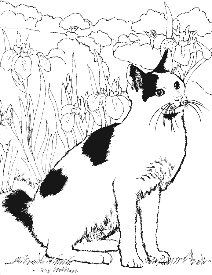 ぬりえページ: 猫 (動物) #1846 - 無料の印刷可能なぬりえページ