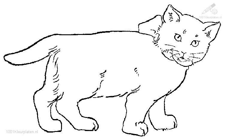 ぬりえページ: 猫 (動物) #1882 - 無料の印刷可能なぬりえページ