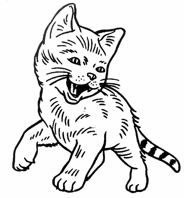 ぬりえページ: 猫 (動物) #1904 - 無料の印刷可能なぬりえページ