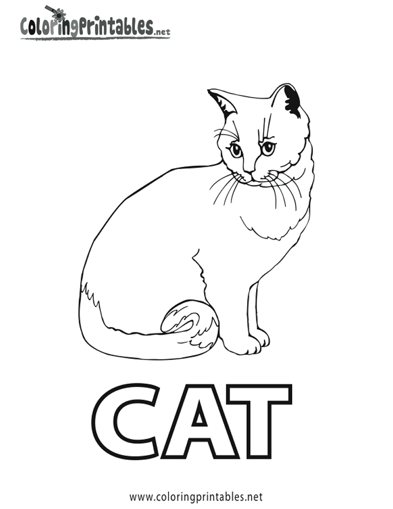 ぬりえページ: 猫 (動物) #1916 - 無料の印刷可能なぬりえページ