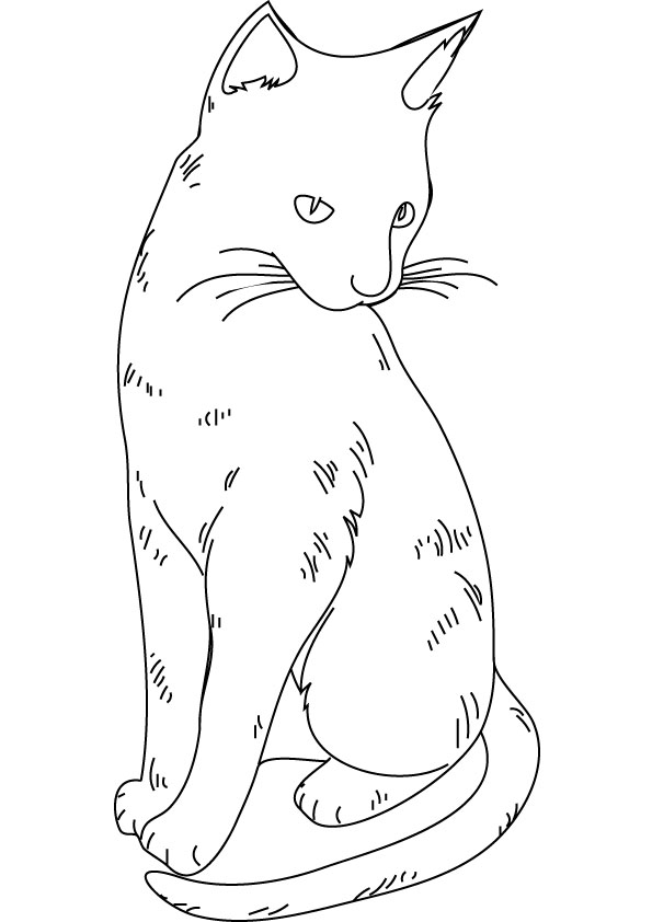 ぬりえページ: 猫 (動物) #1933 - 無料の印刷可能なぬりえページ