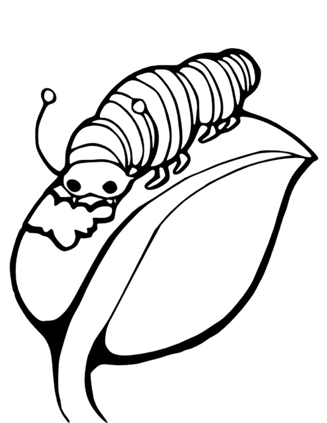 ぬりえページ: 毛虫 (動物) #18250 - 無料の印刷可能なぬりえページ