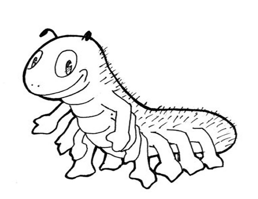 ぬりえページ: 毛虫 (動物) #18252 - 無料の印刷可能なぬりえページ