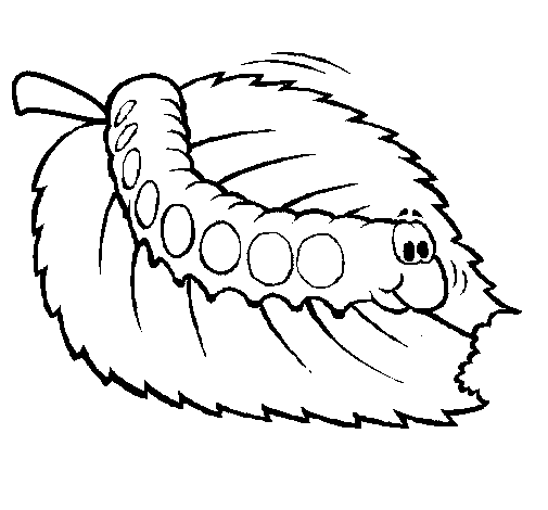 ぬりえページ: 毛虫 (動物) #18263 - 無料の印刷可能なぬりえページ