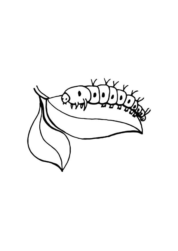 ぬりえページ: 毛虫 (動物) #18316 - 無料の印刷可能なぬりえページ