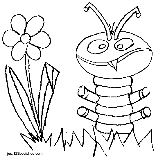 ぬりえページ: 毛虫 (動物) #18358 - 無料の印刷可能なぬりえページ