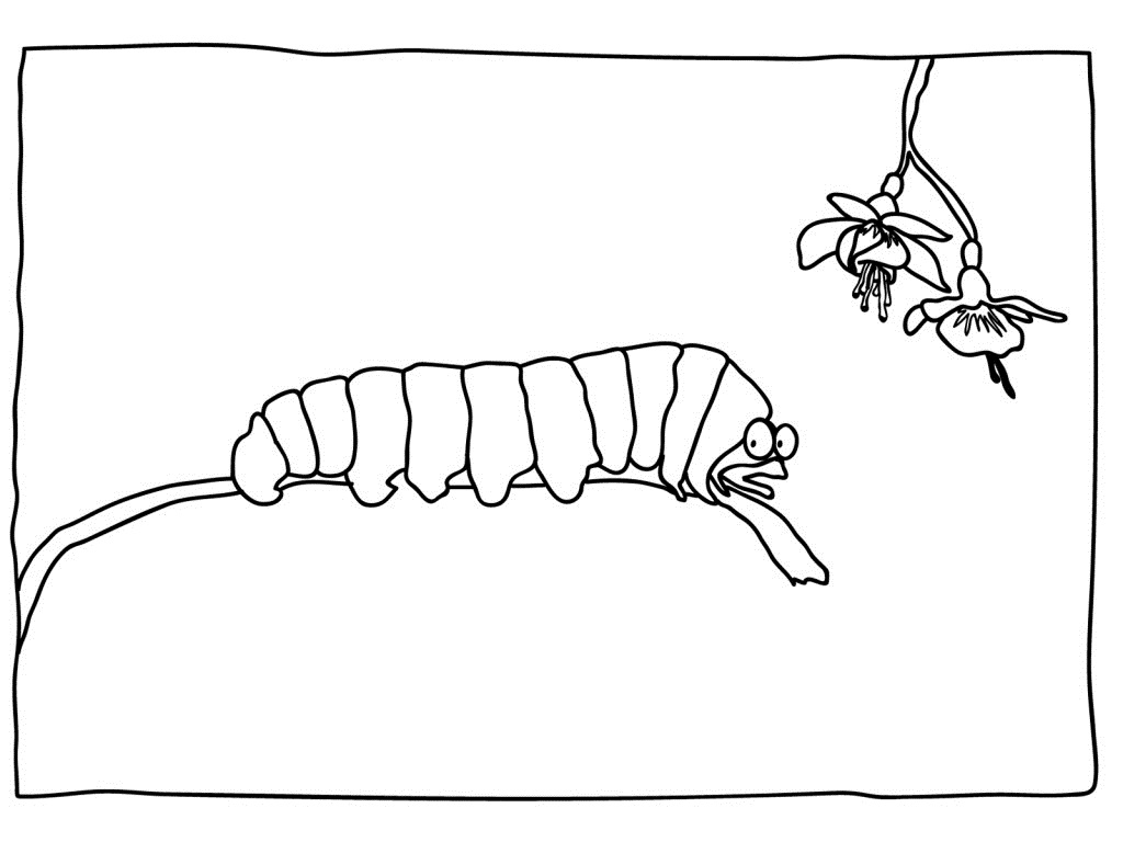 ぬりえページ: 毛虫 (動物) #18363 - 無料の印刷可能なぬりえページ