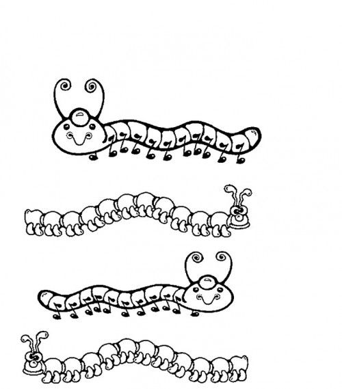 ぬりえページ: 毛虫 (動物) #18417 - 無料の印刷可能なぬりえページ