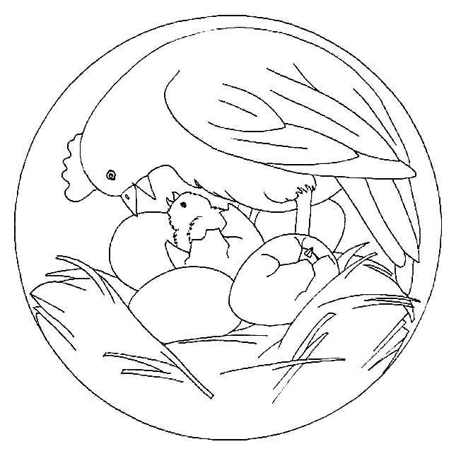 ぬりえページ: ひよこ (動物) #15499 - 無料の印刷可能なぬりえページ