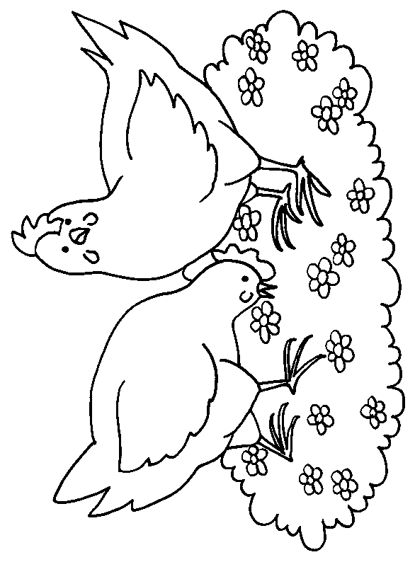 ぬりえページ: にわとり (動物) #17272 - 無料の印刷可能なぬりえページ