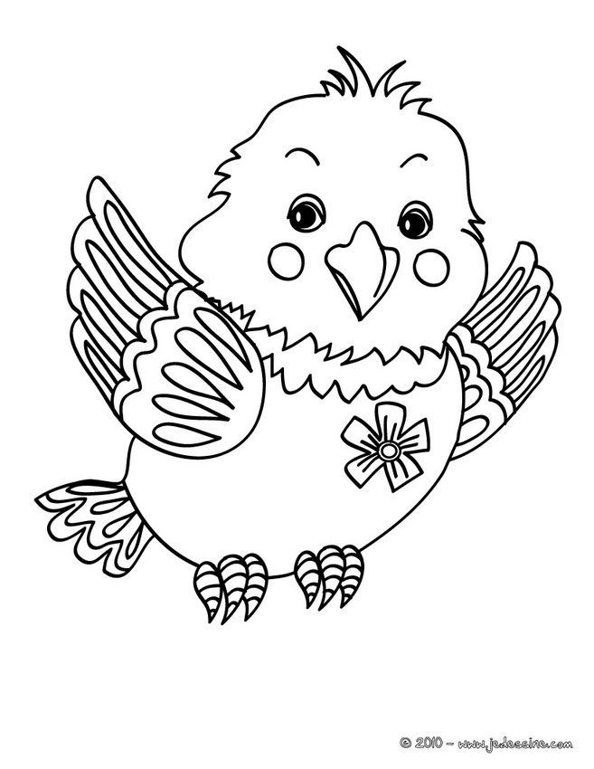 ぬりえページ: ひな鳥 (動物) #20122 - 無料の印刷可能なぬりえページ