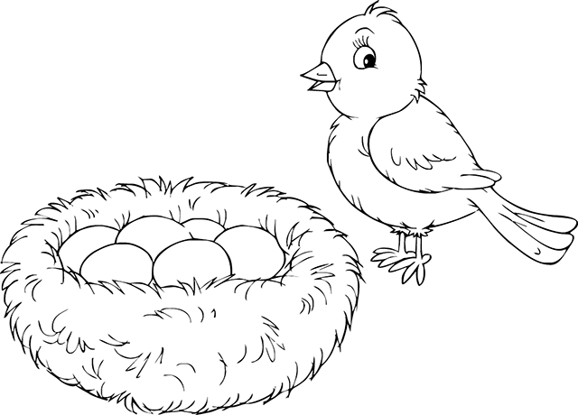 ぬりえページ: ひな鳥 (動物) #20304 - 無料の印刷可能なぬりえページ