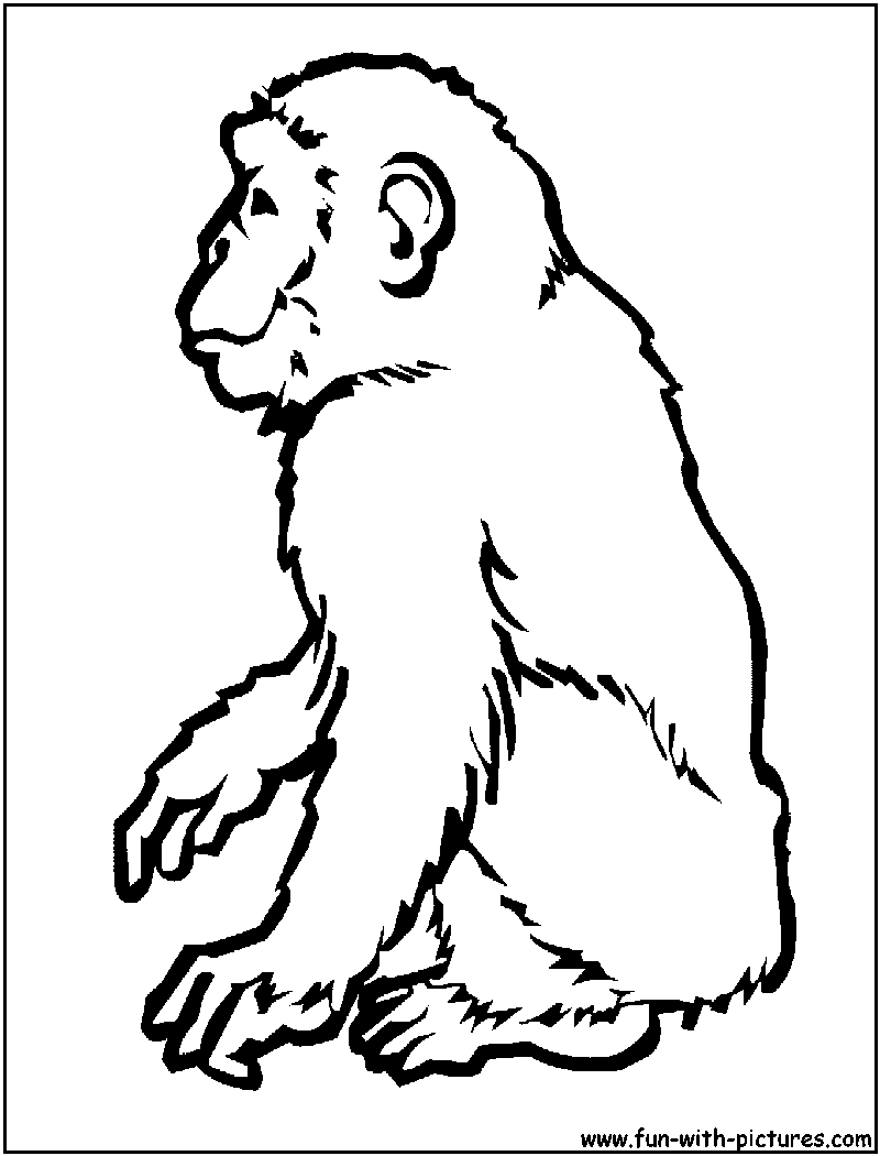 ぬりえページ: チンパンジー (動物) #2794 - 無料の印刷可能なぬりえページ