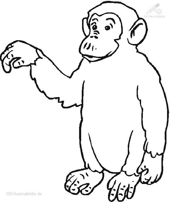 ぬりえページ: チンパンジー (動物) #2805 - 無料の印刷可能なぬりえページ