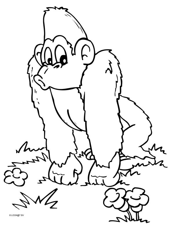 ぬりえページ: チンパンジー (動物) #2826 - 無料の印刷可能なぬりえページ