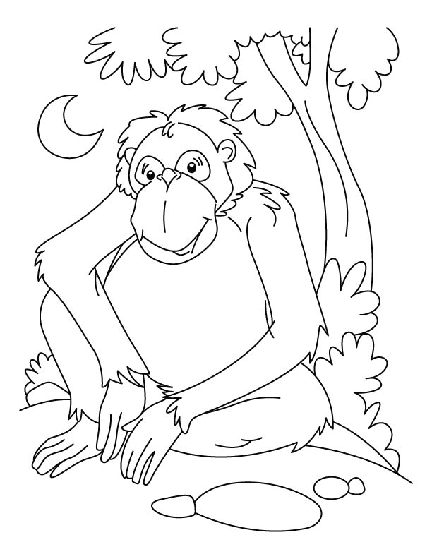 ぬりえページ: チンパンジー (動物) #2827 - 無料の印刷可能なぬりえページ