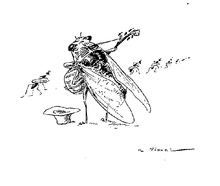 ぬりえページ: 蝉 (動物) #18485 - 無料の印刷可能なぬりえページ