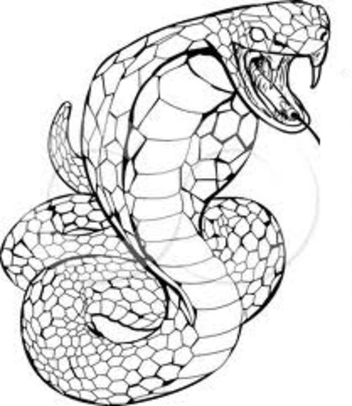 ぬりえページ: コブラ (動物) #3220 - 無料の印刷可能なぬりえページ
