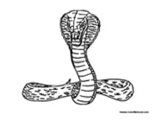 ぬりえページ: コブラ (動物) #3225 - 無料の印刷可能なぬりえページ