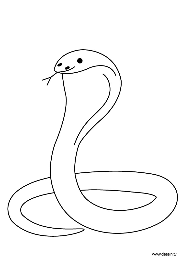 ぬりえページ: コブラ (動物) #3227 - 無料の印刷可能なぬりえページ
