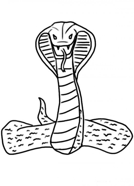 ぬりえページ: コブラ (動物) #3228 - 無料の印刷可能なぬりえページ