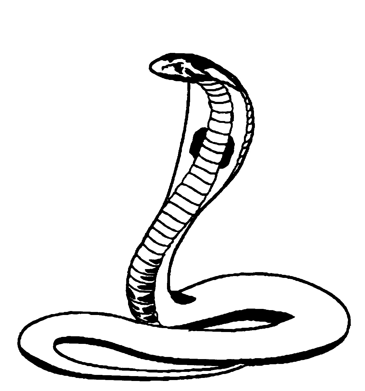 ぬりえページ: コブラ (動物) #3296 - 無料の印刷可能なぬりえページ
