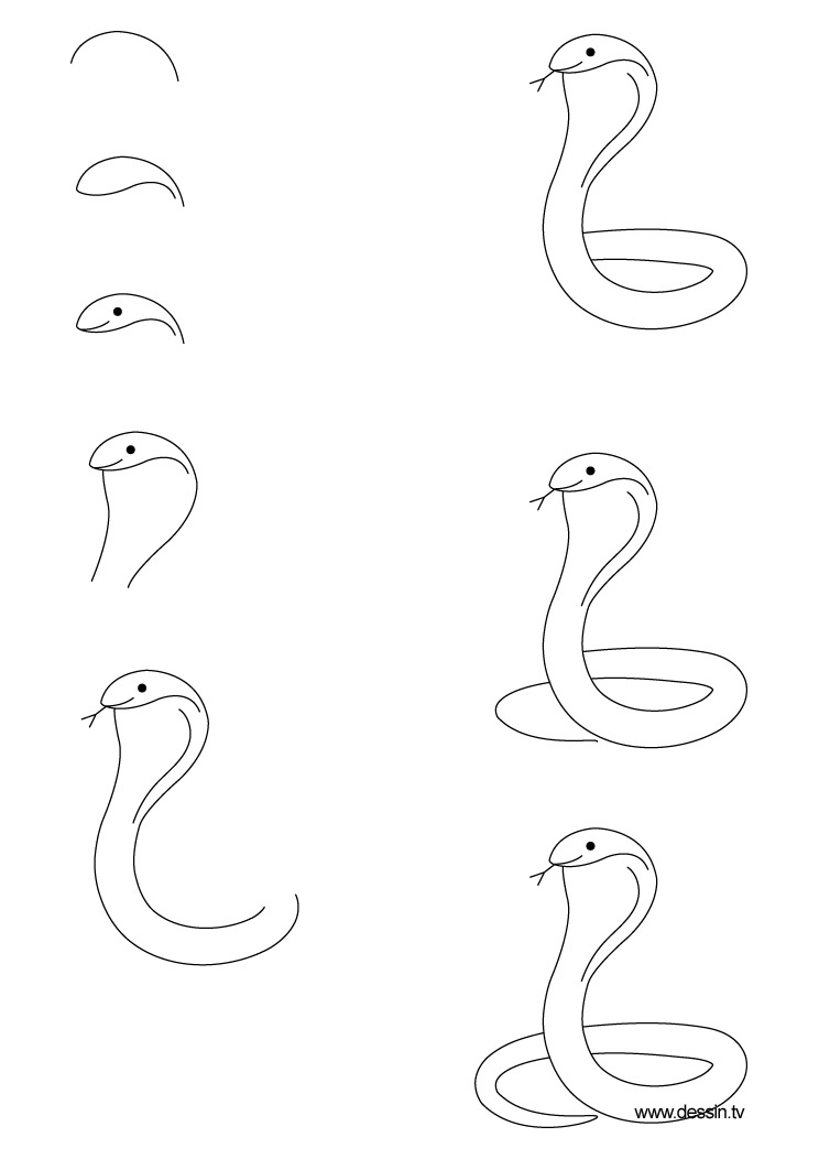 ぬりえページ: コブラ (動物) #3375 - 無料の印刷可能なぬりえページ