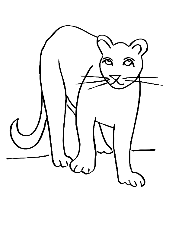 ぬりえページ: クーガー (動物) #4384 - 無料の印刷可能なぬりえページ
