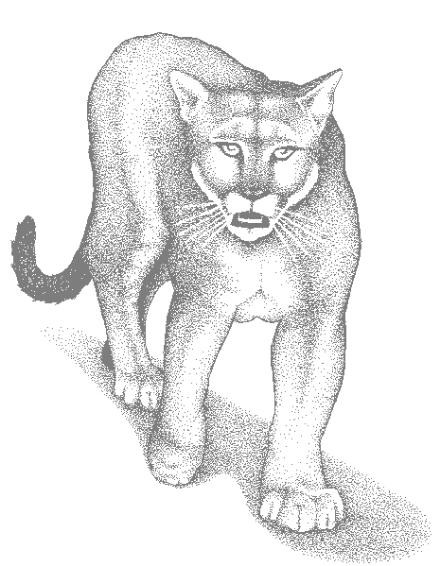 ぬりえページ: クーガー (動物) #4444 - 無料の印刷可能なぬりえページ