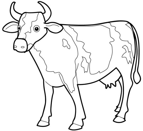 ぬりえページ: 牛 (動物) #13190 - 無料の印刷可能なぬりえページ