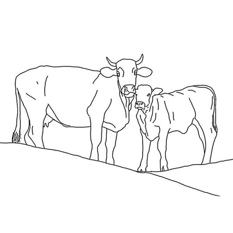 ぬりえページ: 牛 (動物) #13194 - 無料の印刷可能なぬりえページ
