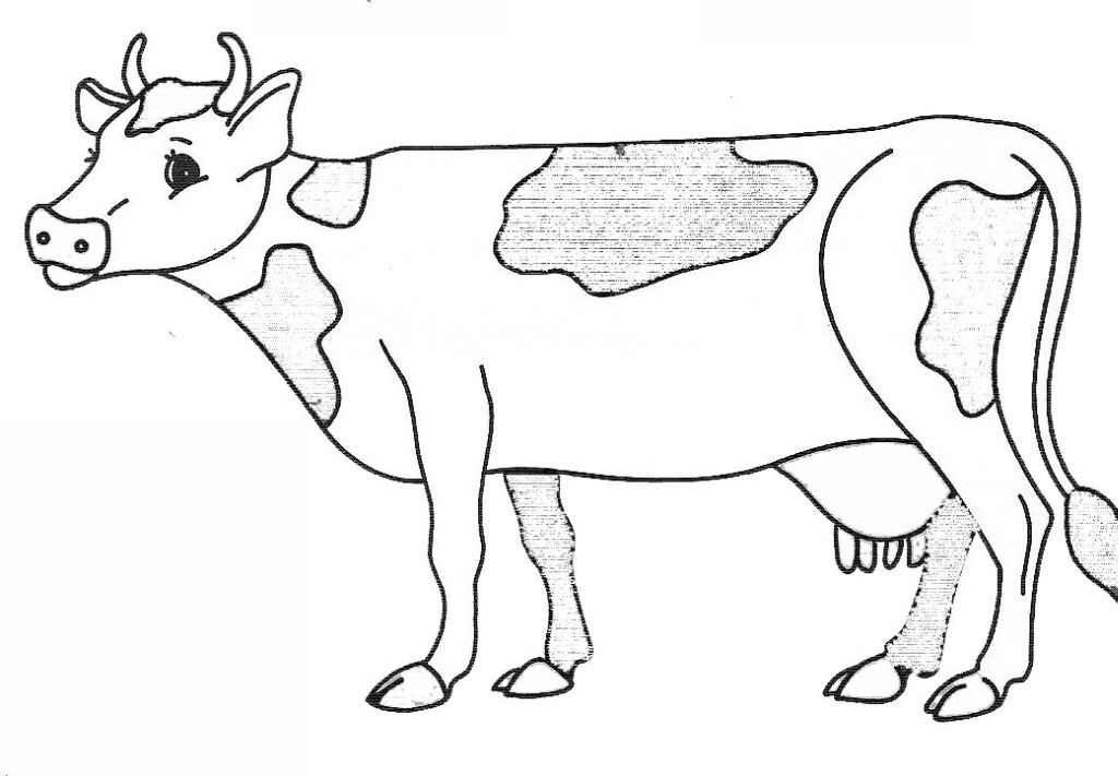 ぬりえページ: 牛 (動物) #13227 - 無料の印刷可能なぬりえページ