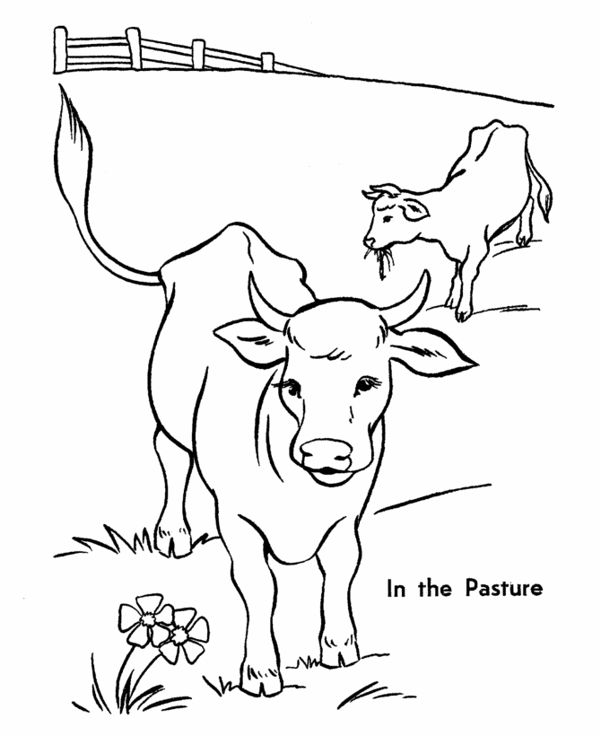 ぬりえページ: 牛 (動物) #13229 - 無料の印刷可能なぬりえページ