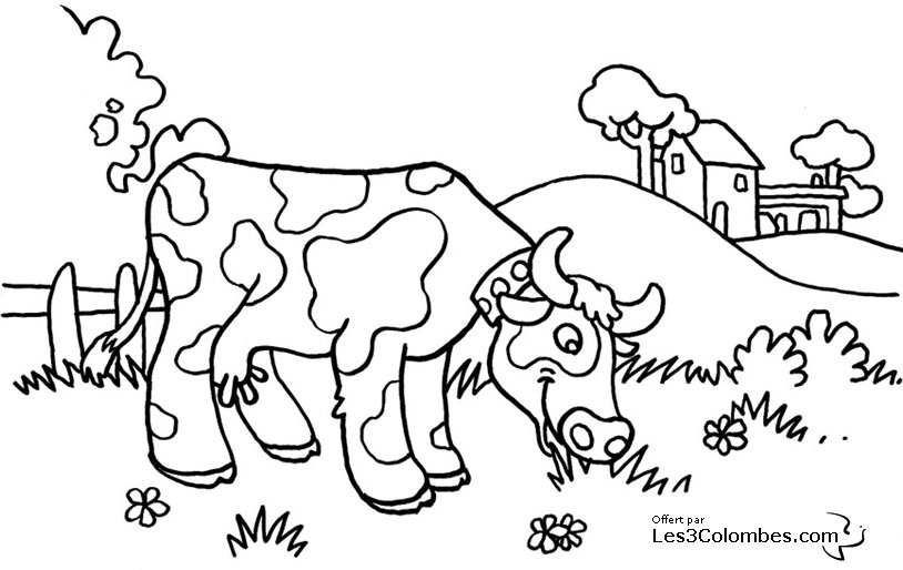 ぬりえページ: 牛 (動物) #13245 - 無料の印刷可能なぬりえページ