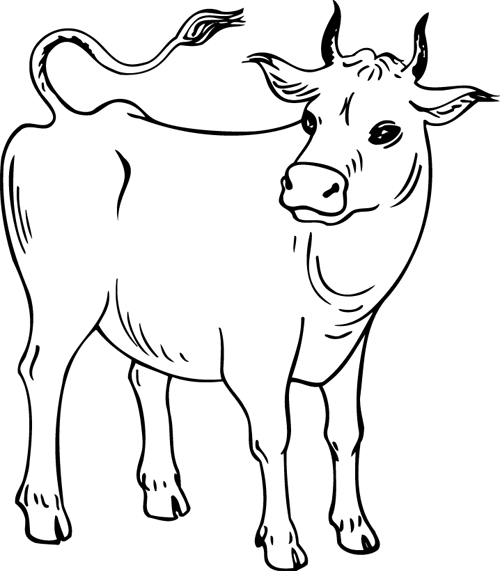 ぬりえページ: 牛 (動物) #13248 - 無料の印刷可能なぬりえページ
