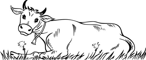 ぬりえページ: 牛 (動物) #13253 - 無料の印刷可能なぬりえページ